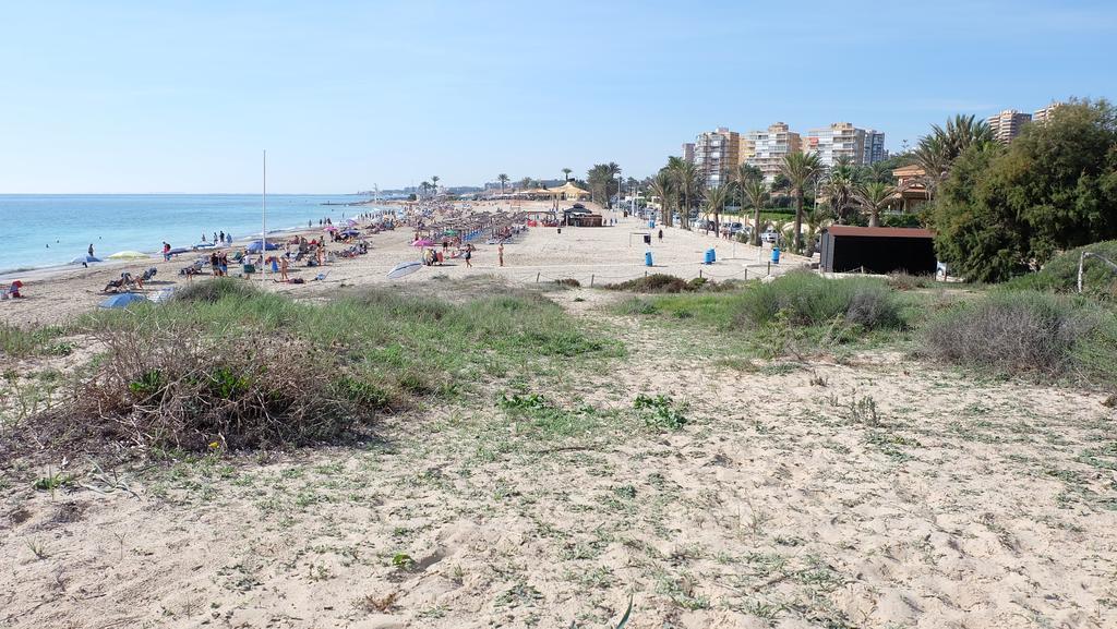 Ebli House Βίλα San Miguel De Salinas Δωμάτιο φωτογραφία